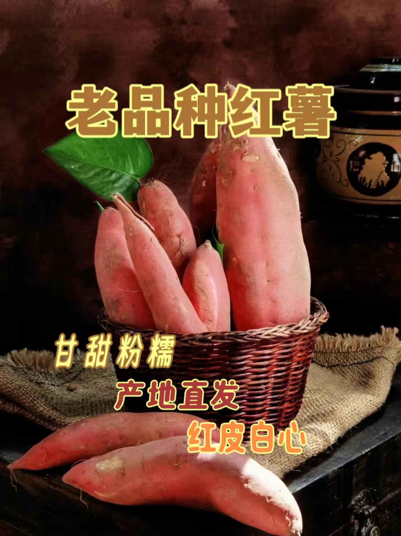 红皮白心老品种笨红薯板栗薯甘甜软糯