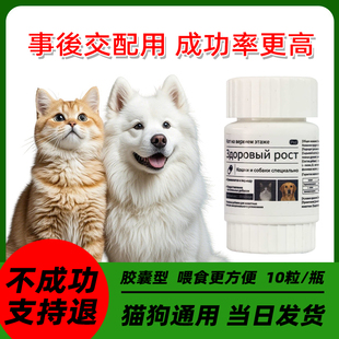 母狗紧急避交配抑情片狗狗防止怀孕母猫绝土流浪狗母猫事后长效育