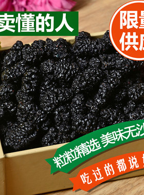 限量野生 桑葚干黑桑椹干果 桑果干无沙非特级非新疆即食泡水500g