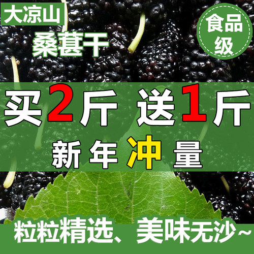 桑葚干大凉山特级无沙纯天然