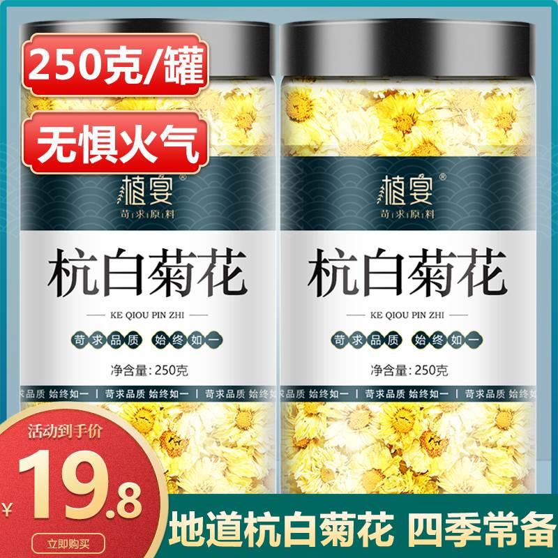 杭白菊花官方旗舰店正品桐乡胎菊杭菊白菊花茶非特级清热解毒去火