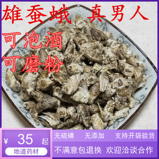 中药材滋补雄蚕蛾公男性用晚蛾子未交配雄蚕蛾可泡酒原蚕蛾 250克