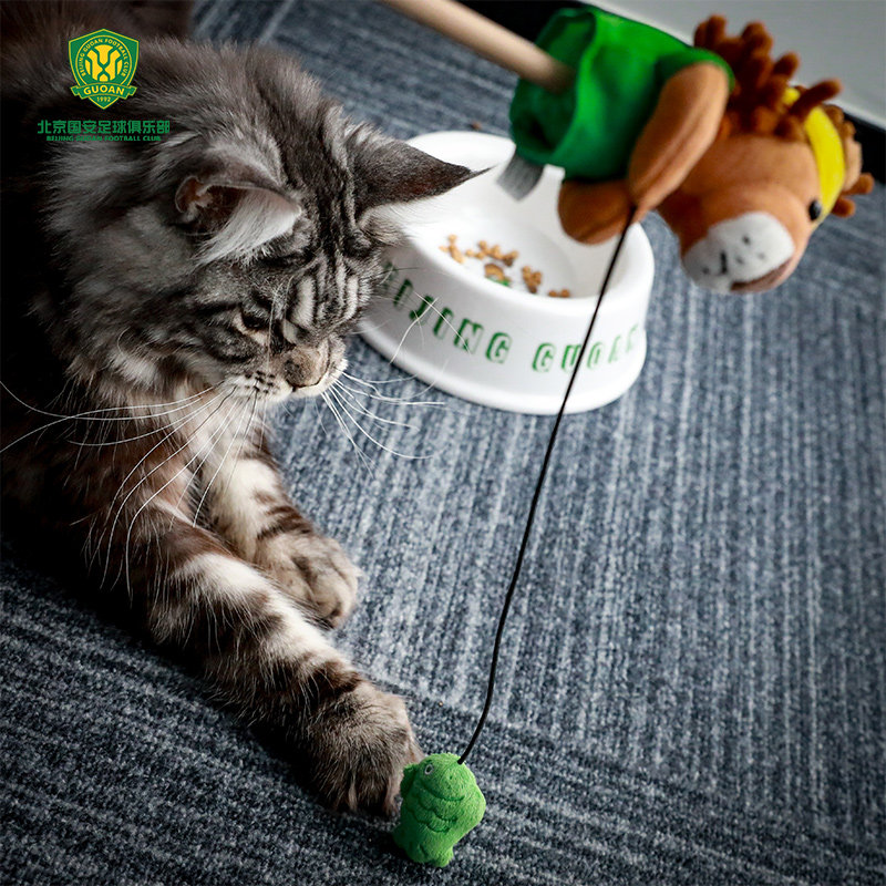 北京国安宠物用品系列京狮毛绒款逗猫棒小猫玩具球迷周边宠物用品,运动/瑜伽/健身/球迷用品,球迷用品,淘宝优惠券,粉丝福利购,淘宝优惠卷