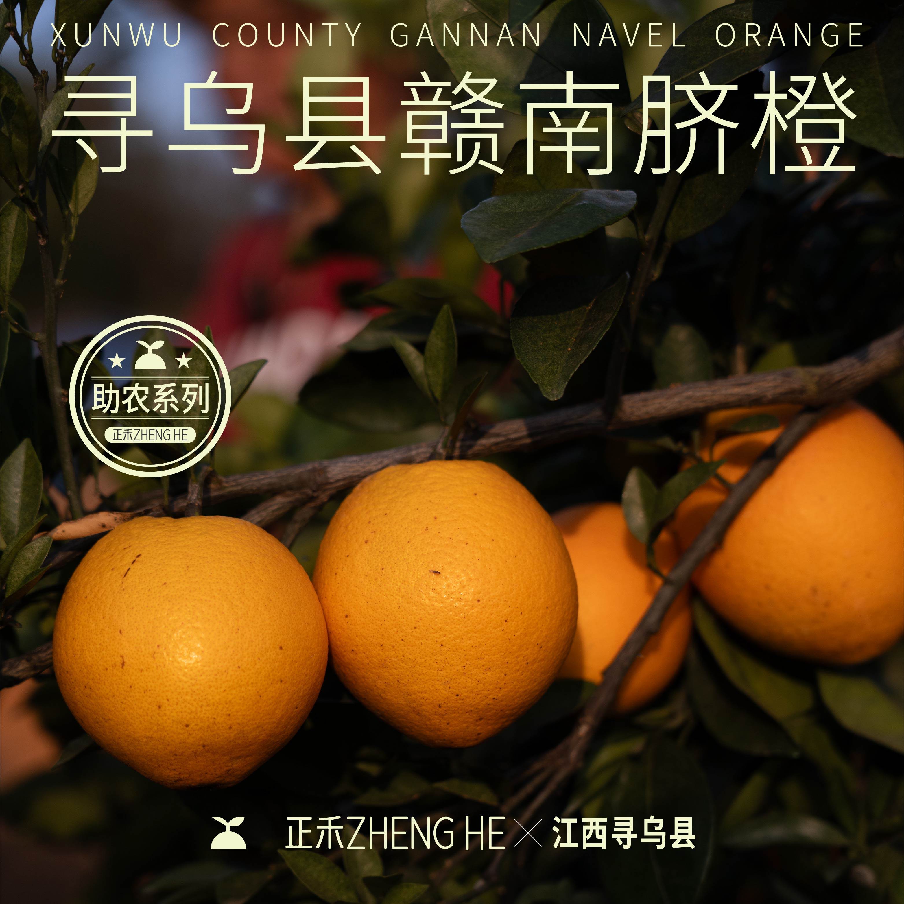 正禾寻乌赣南脐橙十斤新鲜当季水果现摘现发多汁手剥橙子产地直发,水产肉类/新鲜蔬果/熟食,橙,淘宝优惠券,粉丝福利购,淘宝优惠卷