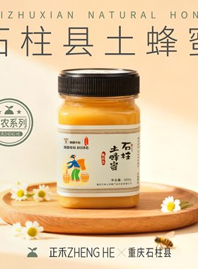 以太假说正禾土蜂蜜农产品重庆石柱县蜂与自然百花蜜纯天然500g