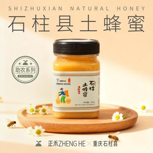 以太假说正禾土蜂蜜农产品重庆石柱县蜂与自然百花蜜纯天然500g