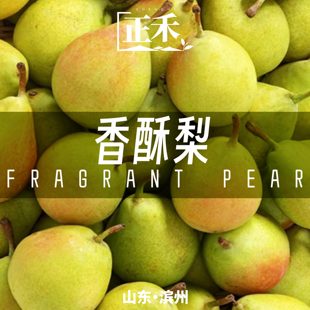 多汁清甜香酥梨媚梨七号水果当季薄皮山东阳信产地包邮