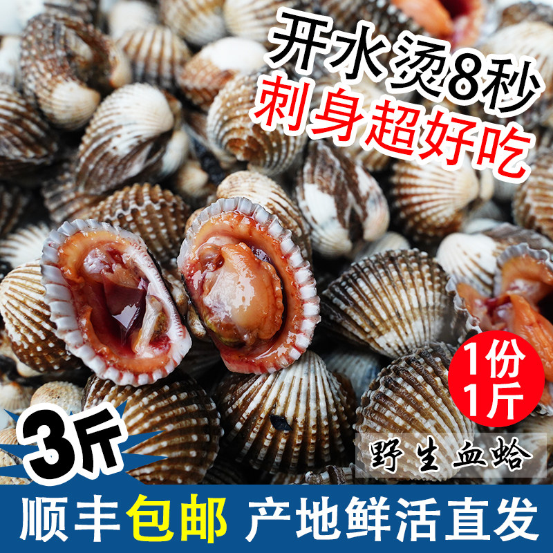 贝壳雪哈,雪哈_大山谷图库