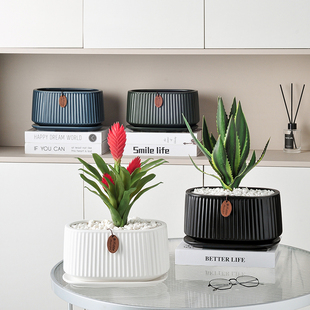 蝴蝶兰专用花盆陶瓷椭圆形长形多肉植物绿萝金鱼吊兰北欧简约带托