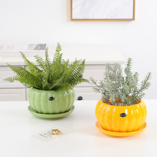 南瓜花盆陶瓷北欧简约创意带托盘