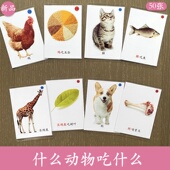 什么动物吃什么卡片幼儿园宝宝认知启蒙闪卡自闭症语言康复教具玩