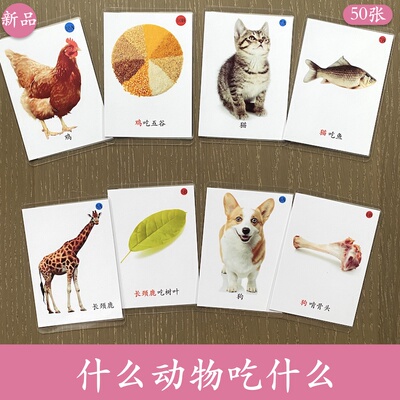 自闭症语言康复教具认识动物