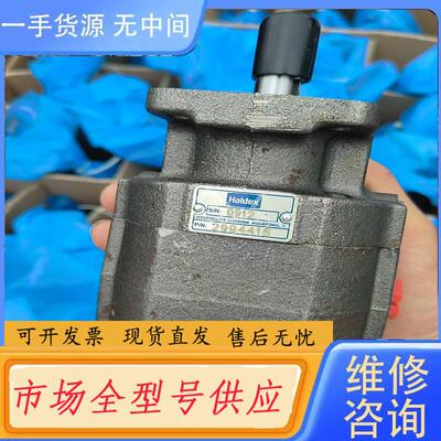 请询价-瑞士瀚德Haldex齿轮泵  油泵 100个