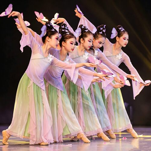 新款儿童古典舞服装中国风绝美纱衣练功服演出服女少儿立春舞蹈服