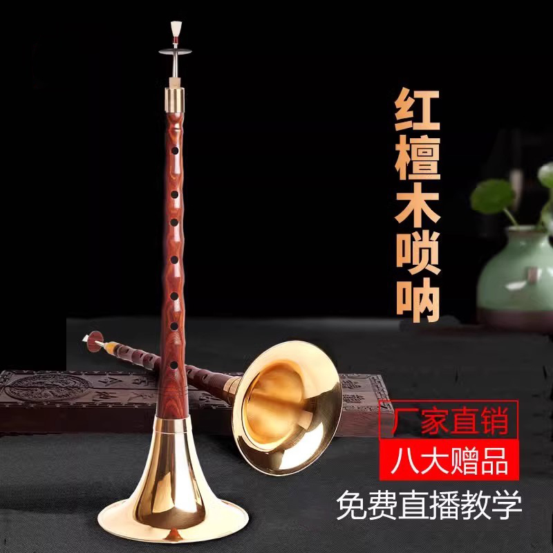 唢呐初学者全套专业演奏