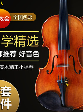 小提琴乐器成人儿童初学者学生练习演奏实木全手工专业级提琴
