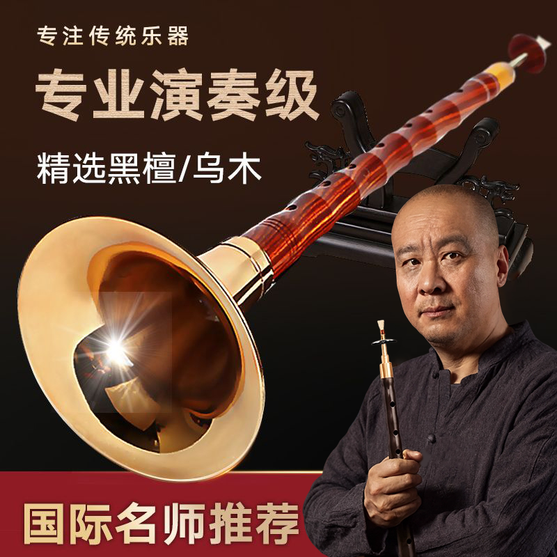 演奏专业乌木黑檀木唢呐乐器全套d调D调初学者儿童入门大小号喇叭