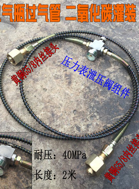 二氧化碳过气管 大瓶转小瓶 高压管30MPa G5/8 CO2 二氧化碳灌装