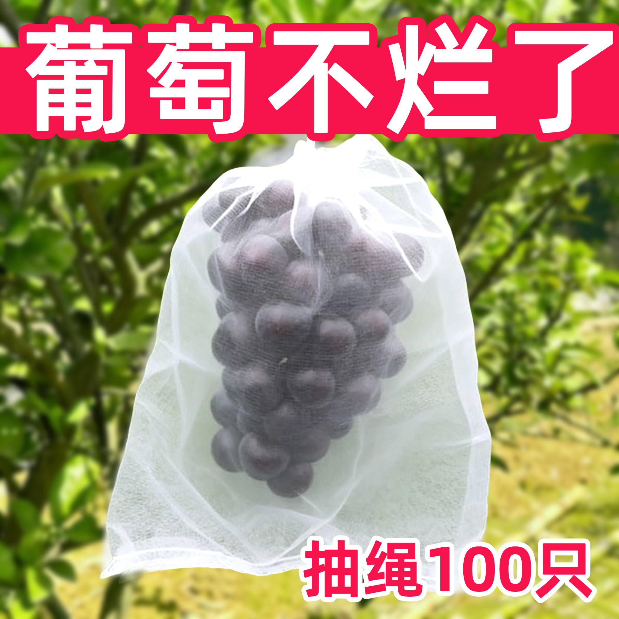 水果葡萄套袋防鸟防虫专用无纺布袋通用琵琶桃子苹果丝瓜苦瓜袋子