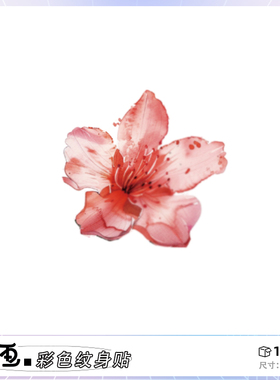 她画 樱花纹身贴 国风水墨脸贴花朵手腕彩色防水女持久锁骨小图案