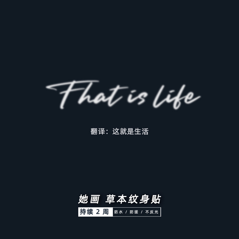 她画草本纹身贴 这就是生活 英文短句果汁防水持久女锁骨贴纸仿真