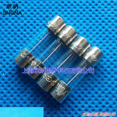 玻璃保险丝F100MA 250V 5x20 F100MAL250VP 快熔保险丝 进口原装