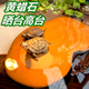 黄蜡石高晒台乌龟晒背青发色天然腊石头平台方砖奇观赏龟缸造景A1