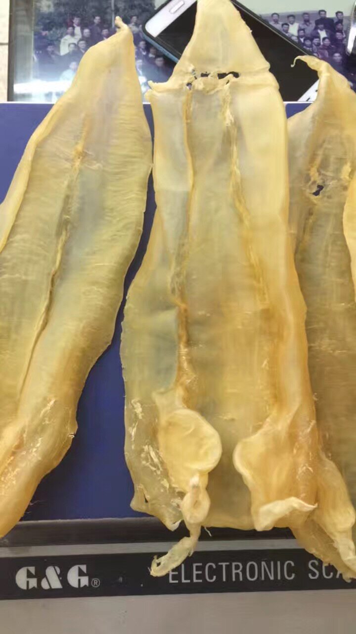苏里兰 老北海公鱼胶 公肚公胶 鳘鱼胶花胶鱼鳔鱼肚孕妇月子滋补