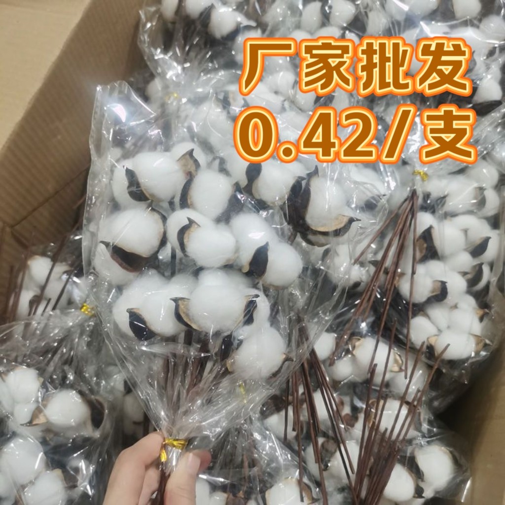 圣诞节ins单头天然干棉花花束配饰diy装饰真棉花拍摄道具摆件花店