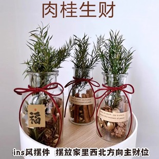 肉桂生财 森系肉桂松果开心果玻璃风水摆件ing风摆件