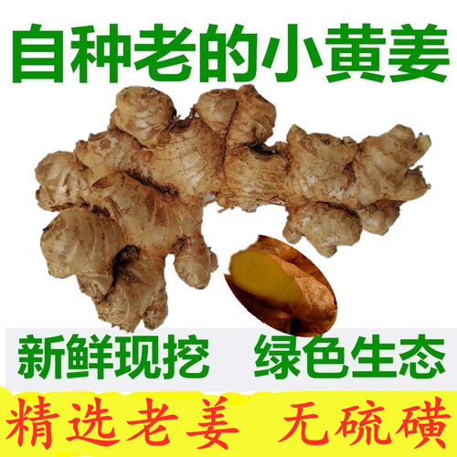 小黄姜老姜质优精选无硫磺无药水