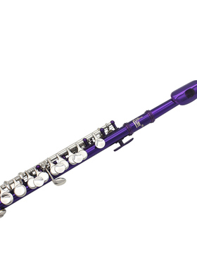 优质SLADE雷德短笛C调白铜管体紫色16孔加E键法式按键意大利垫片