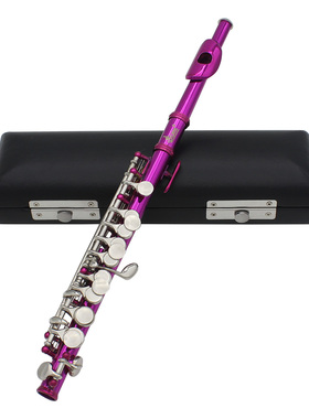 优质SLADE雷德短笛C调白铜管体枚红16孔加E键法式按键意大利垫片