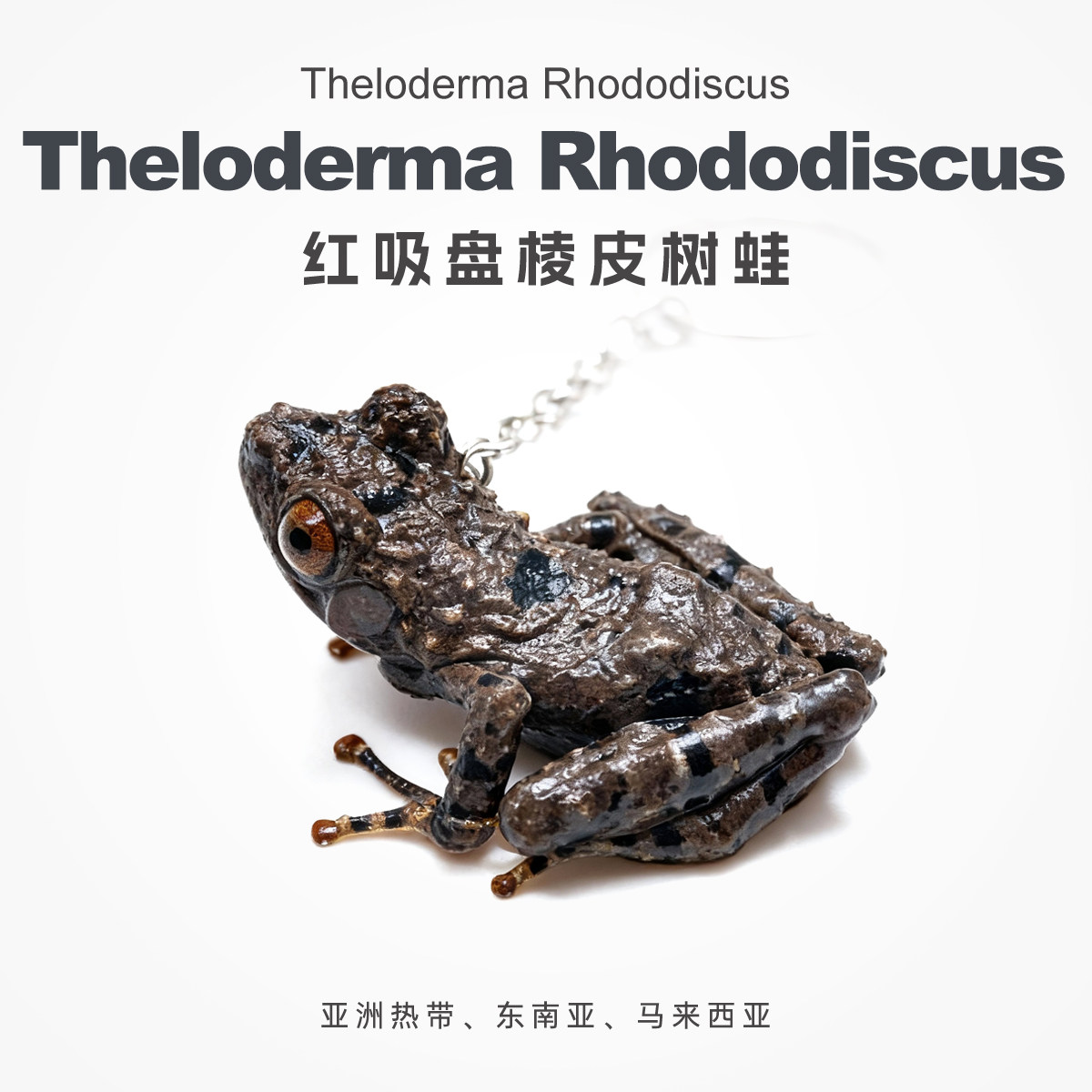 精品红吸盘棱皮手办钥匙链爆款可爱微造景观特色热带雨林爬宠包邮