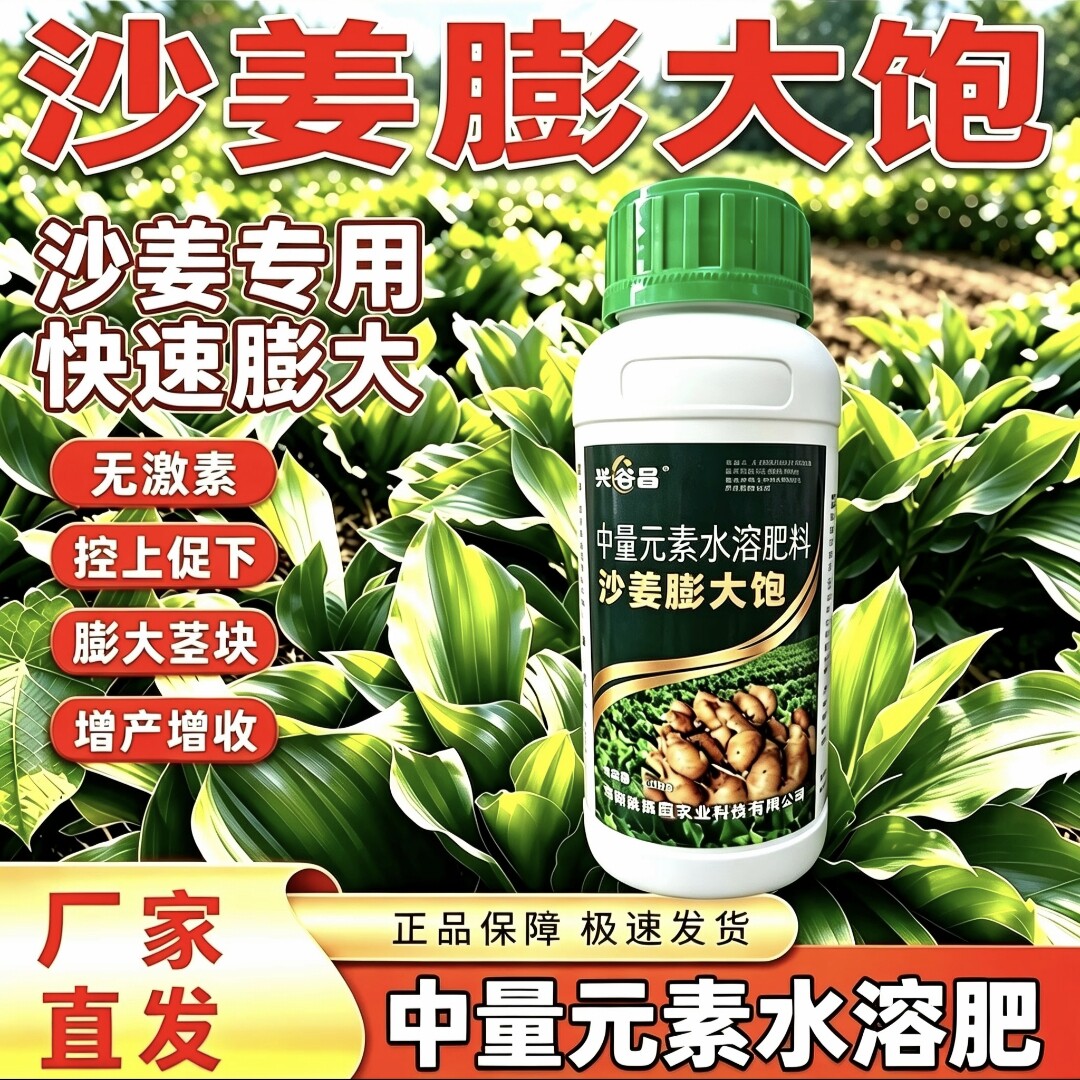 沙姜膨大专用促进分芽膨大块根补充营养提质增产控旺促根水溶肥