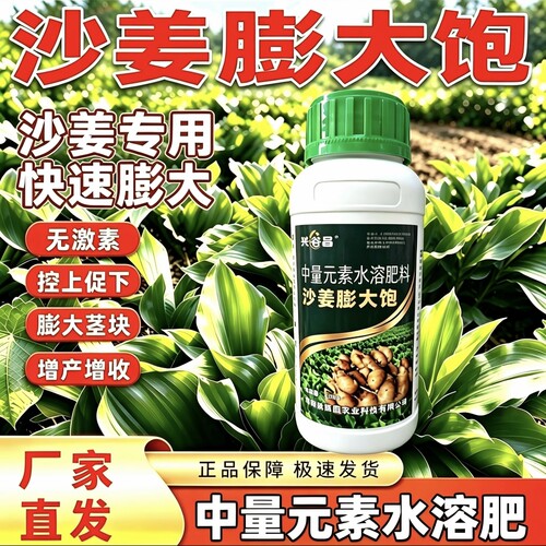 沙姜膨大专用促进分芽膨大块根补充营养提质增产控旺促根水溶肥
