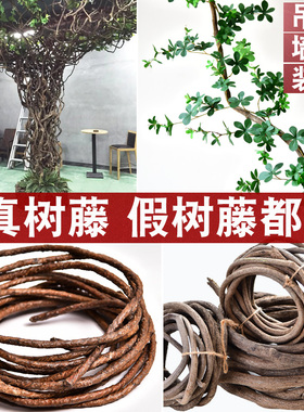 树藤枯藤仿真藤条装饰藤蔓绿植吊顶树叶树枝干植物墙阳台造景假树