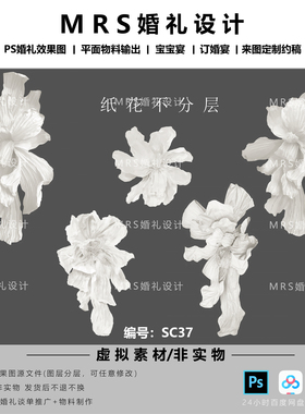 白色手绘纸花素材SC37纸雕褶皱纸婚礼大型纸花道具PS素材