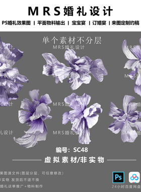 MRS大型紫色纸花设计手绘素材SC48褶皱纸婚礼纸花道具PS素材