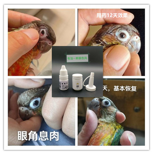 眼睛息肉 单眼伤风 小太阳  玄凤 牡丹 虎皮 和尚 眼角息肉 流泪