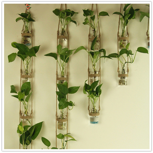 创意DIY壁挂玻璃水培植物麻绳花瓶 家居幼儿园墙面装饰挂件简约