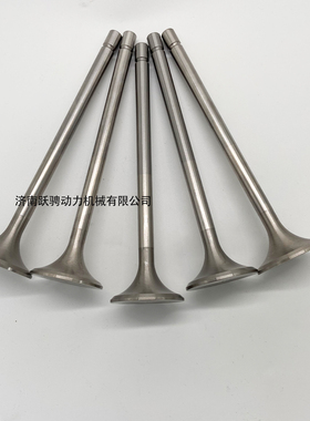 适JDEC济柴动力12VB.03.37D inlet 12VB.03.22D outlet valve