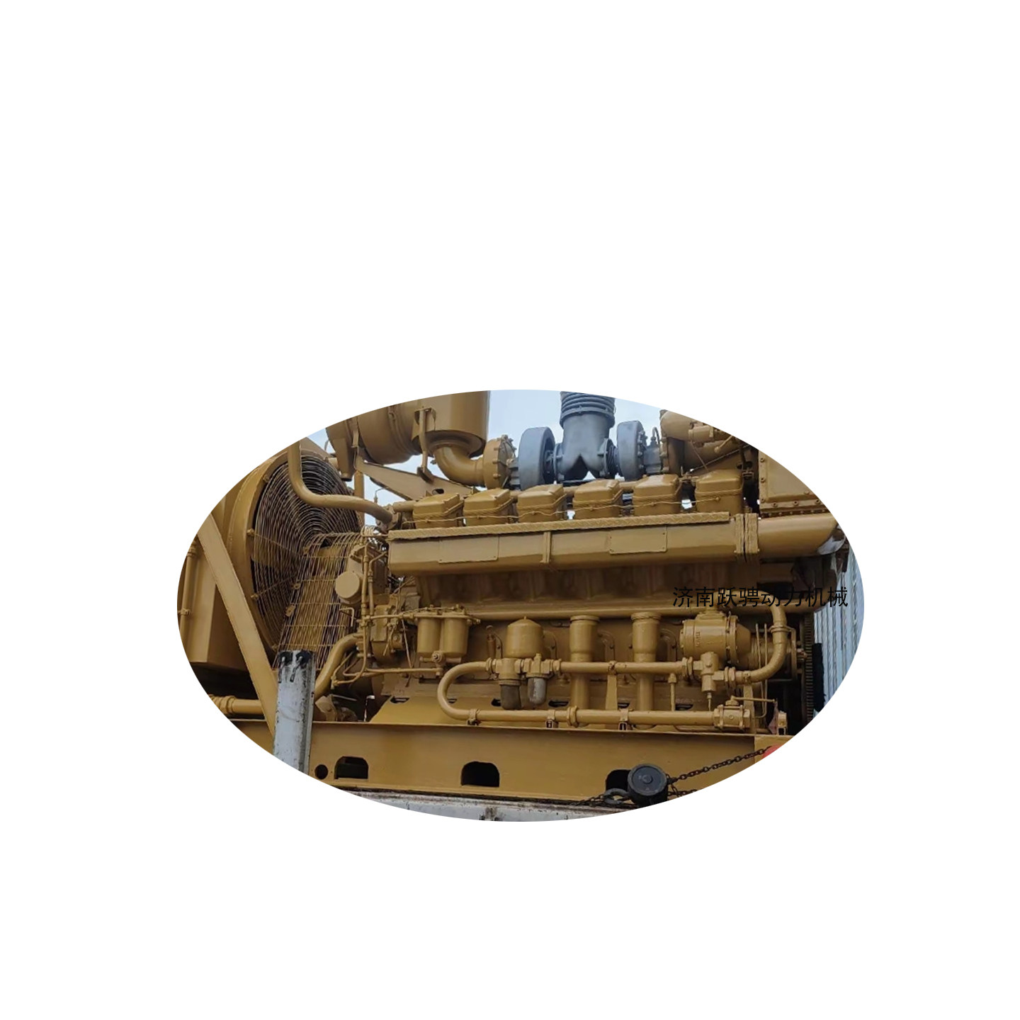 701.46f.60 Air starting motor tmy11qdgr jichai 2000 sries - 实物图