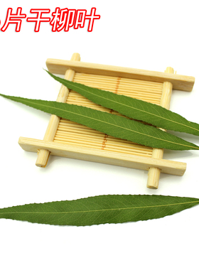 柳叶杨柳叶子押花滴胶手机壳干花 diy贴画压花画真花书签相框画