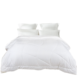 帝豪家纺 保暖春秋被芯单人双人全棉四季 纯棉被空调被