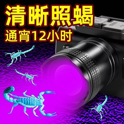 照蝎子专用灯超续航强光紫光灯