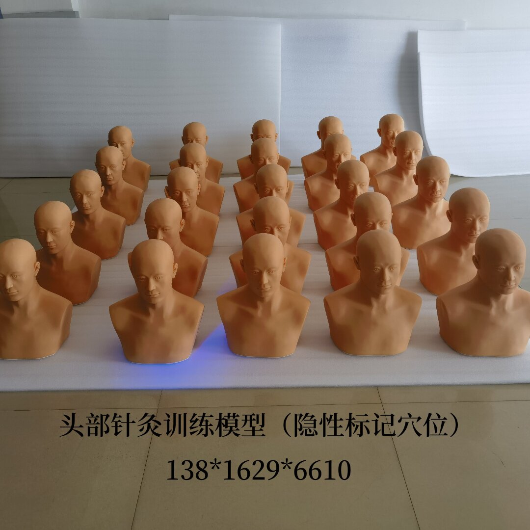 头部针灸训练模型（隐性标记穴位）人体头部针灸穴位模型可扎针