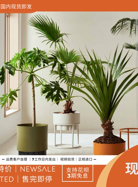 预 KUNDESIGN  Lotus 样板间客厅摆件带底座花瓶盆器种植盆