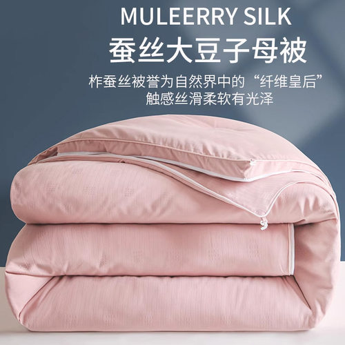 2023新款布拉格蚕丝大豆子母被