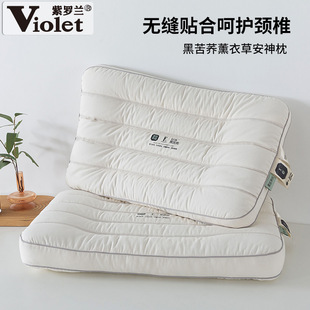 紫罗兰黑苦荞薰衣草安神枕芯草本植物护颈助眠枕头学生成人荞麦枕